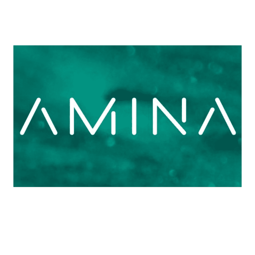 Seba's Evolution: Amina Bank Unveils New Brand Identity in Zug and Beyond