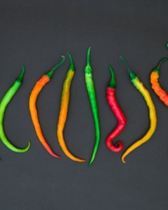 Can Chili Pepper Help Increase Longevity Wellness?