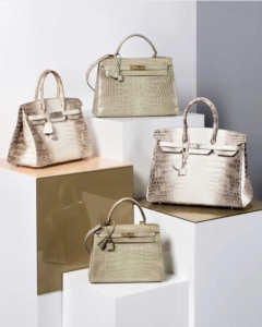 Compare the difference between a Hermes Birkin bag and a Hermes Kelly bag