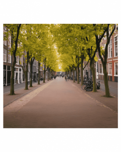 Dutch Housing Market: 540 Tenants Challenge Rent Increase by CBRE and Nationale-Nederlanden