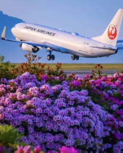 Japan Airlines: from drowning in debt to become the World’s Leading Airline - What is Real Secret behind Success?