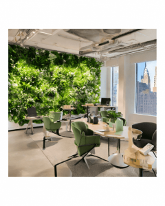 New York City Office Rental Space Attracts Green Energy Firms
