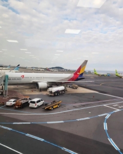 South Korea: Passengers Flying Internationally increased by 734%