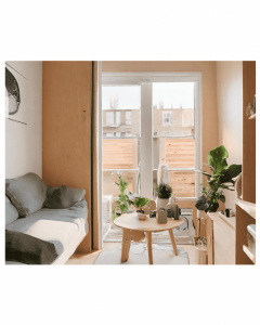The Rise of Small Living: Why Renters Prefer Compact Units