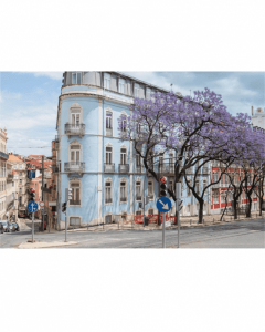 What are Top Real Estate Hotspots in Portugal for Foreign Buyer?