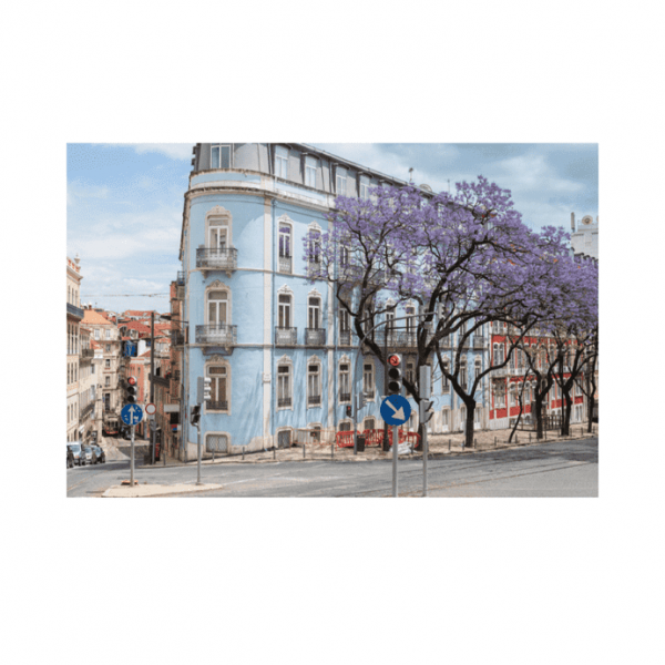 What are Top Real Estate Hotspots in Portugal for Foreign Buyer?